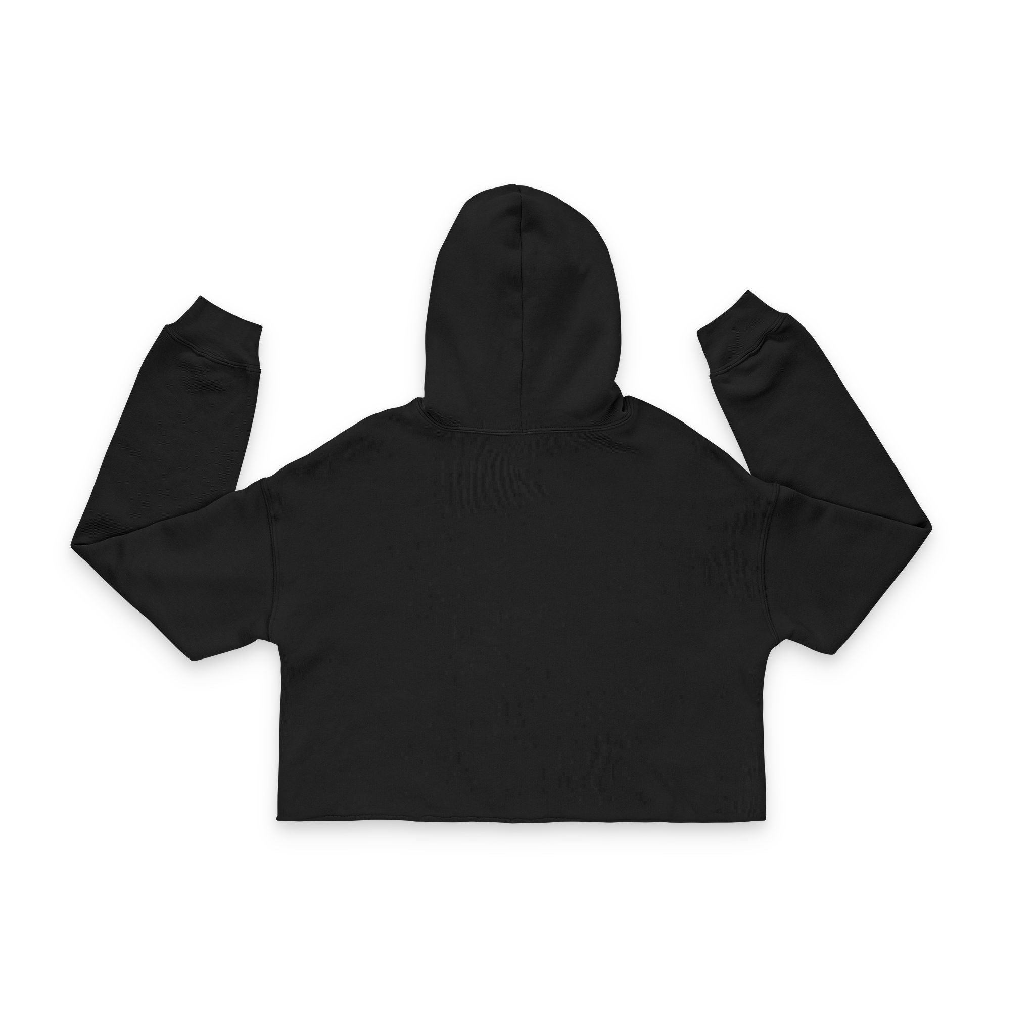 Pretty Punishment Women's Cropped Hoodie, Casual Wear, Gifts for Her, Streetwear, Fall Fashion