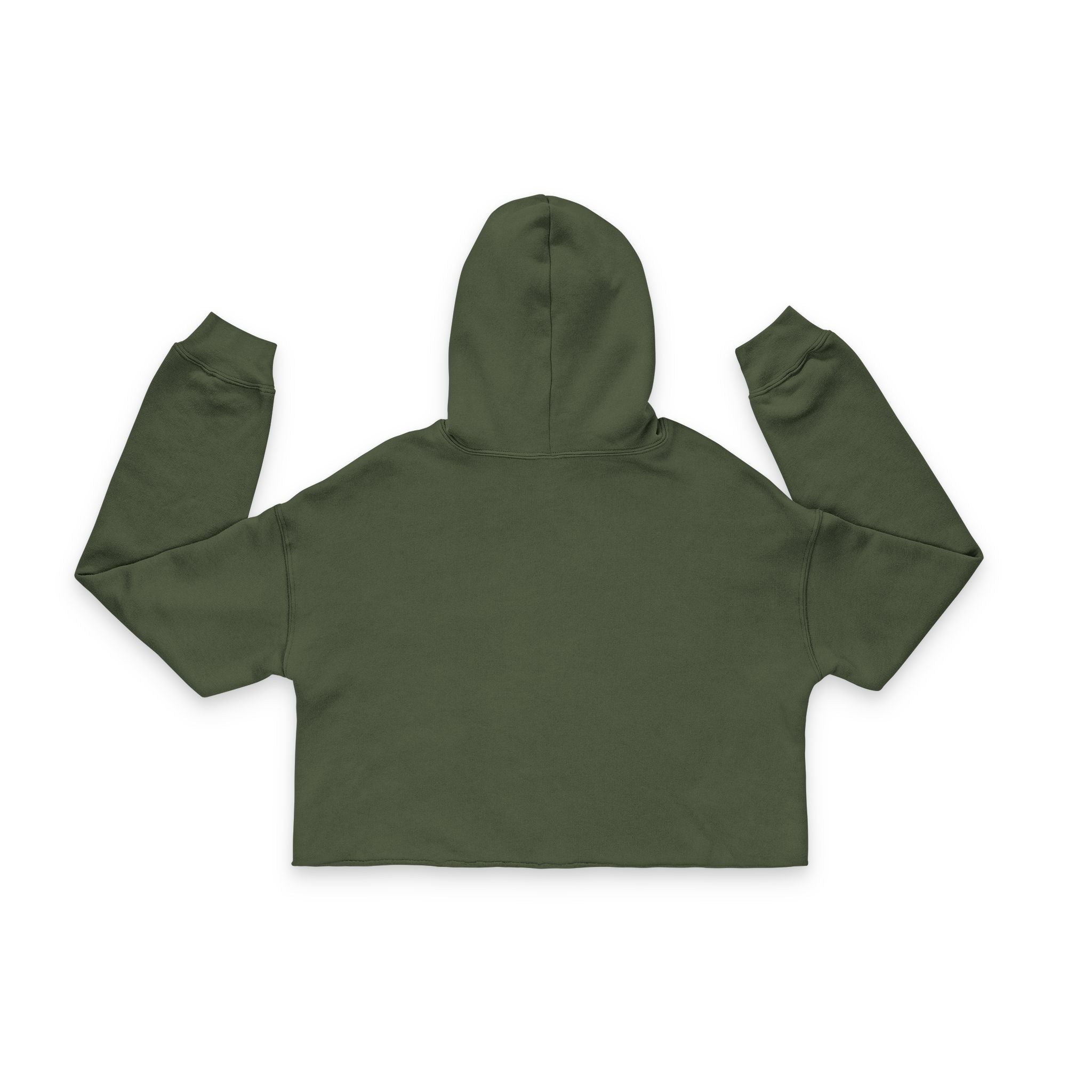 Pretty Punishment Women's Cropped Hoodie, Casual Wear, Gifts for Her, Streetwear, Fall Fashion